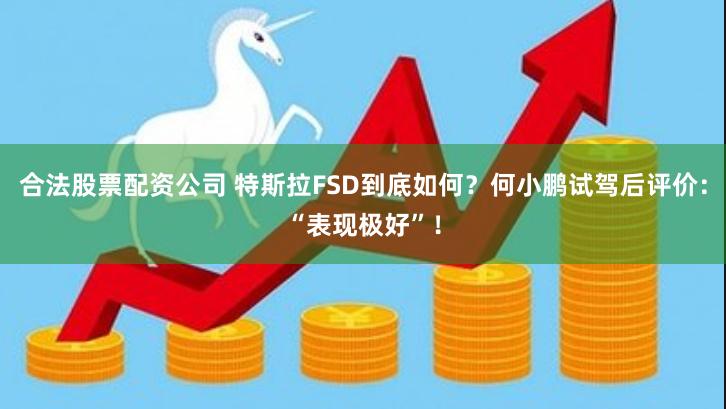 合法股票配资公司 特斯拉FSD到底如何？何小鹏试驾后评价：“表现极好”！