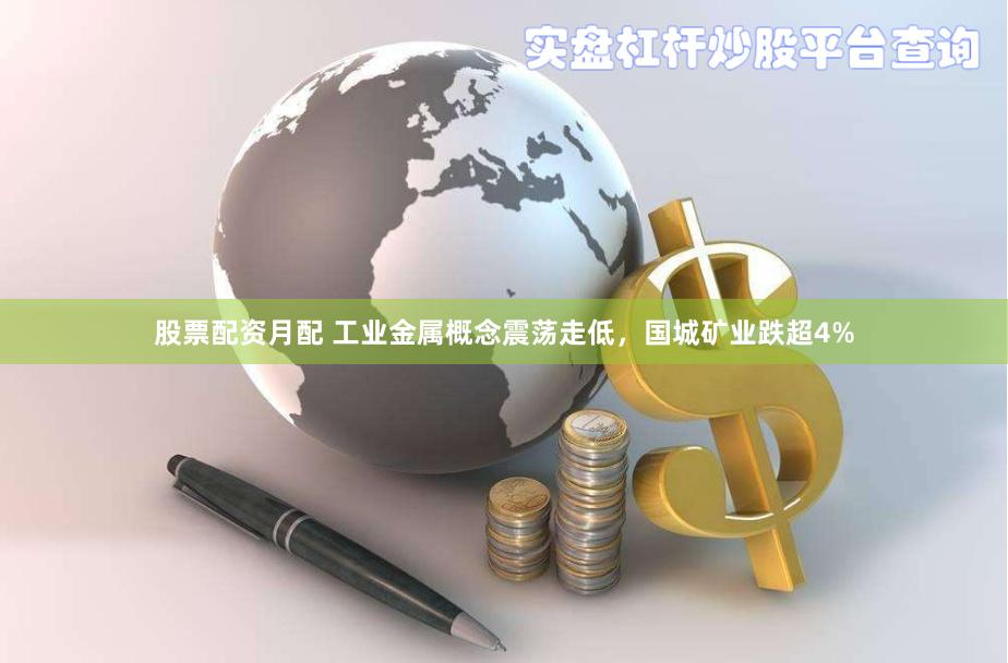 股票配资月配 工业金属概念震荡走低，国城矿业跌超4%