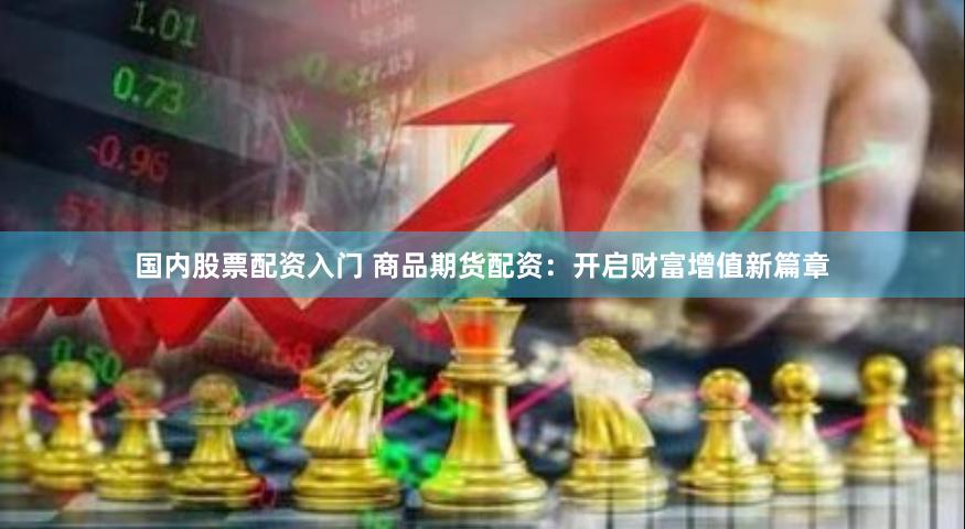 国内股票配资入门 商品期货配资：开启财富增值新篇章