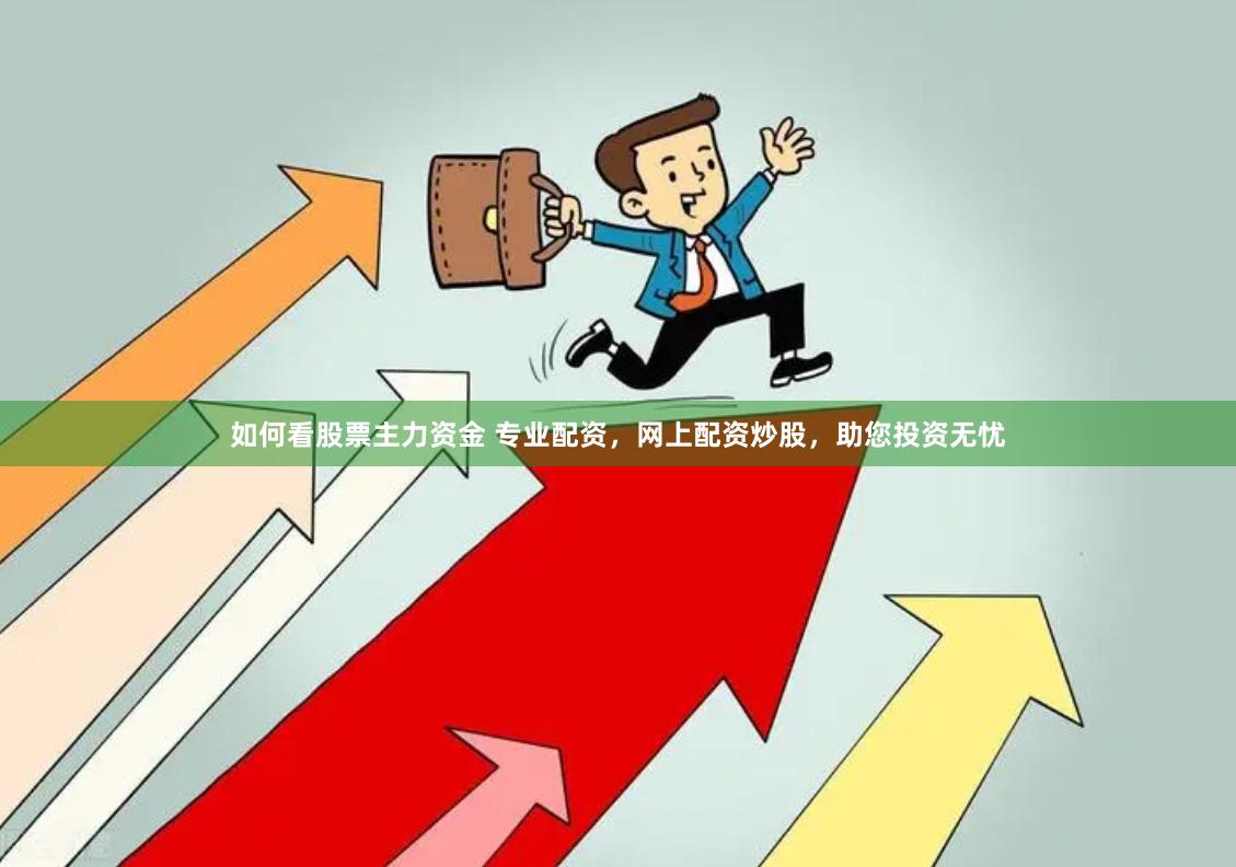 如何看股票主力资金 专业配资，网上配资炒股，助您投资无忧